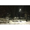 Garden Sv Kliment Ohridski_4_103x103_fit_478b24840a
